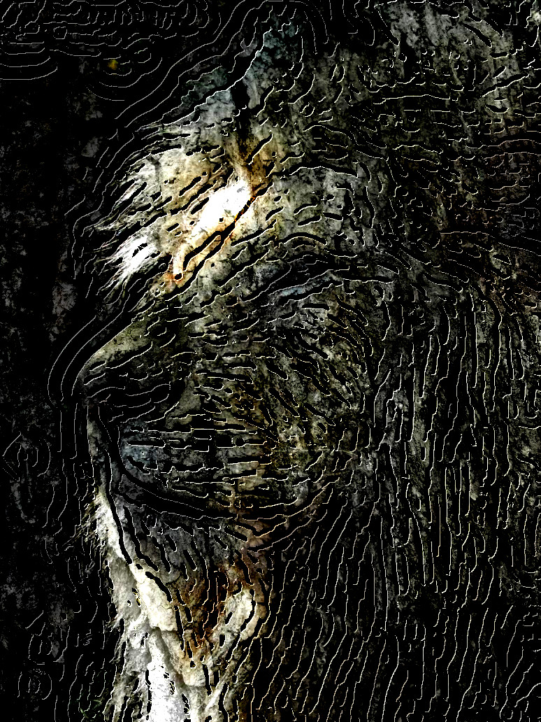 2020-02-07 08-09-57i_refuse_to_look_back_thinking_it_was_better_then_by_mouselemur_ddimhhz-pre as a drawing engraved on Stone mossy bark texture gray.jpg, option dark, hard, touched up on top.jpg