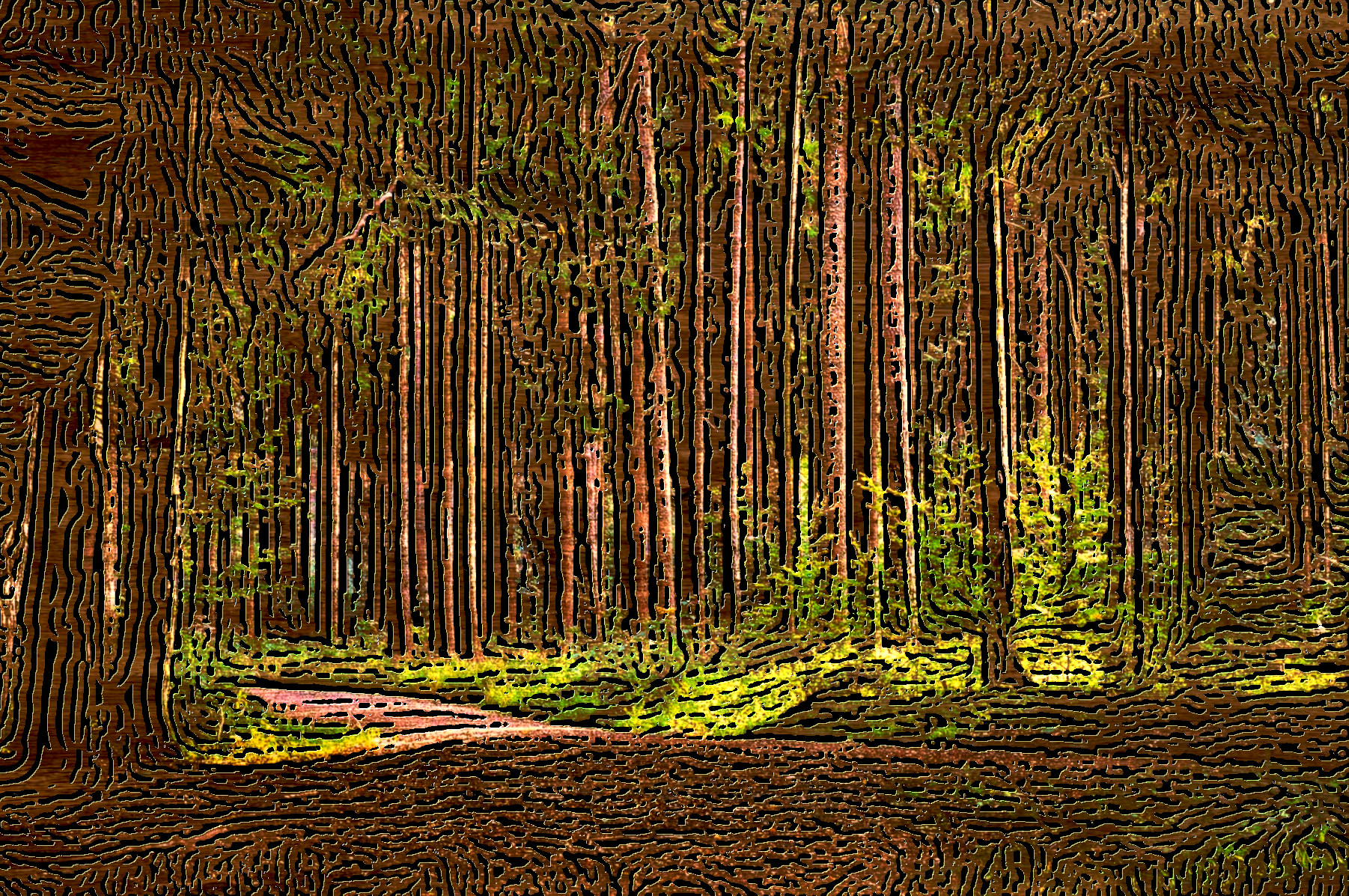 forest-4812586_DN_EngravedOnWoodorStone_Wood_Issa.JPG