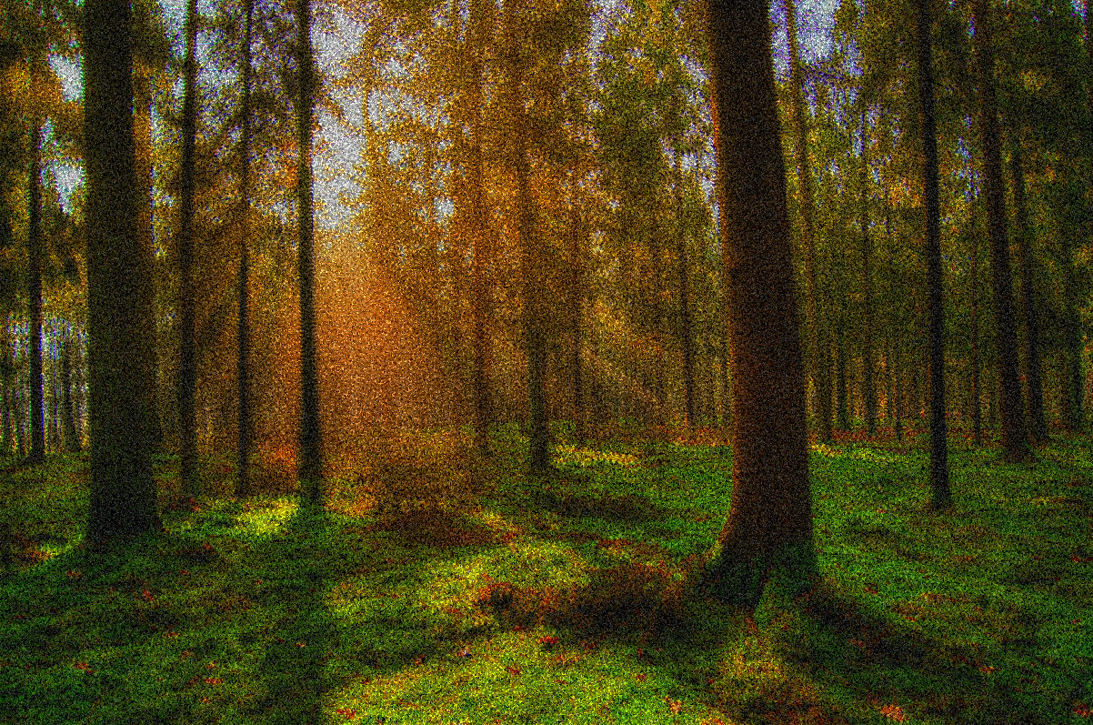 2020-02-16 19-19-46forest-fog-nature-landscape-1005334 with a fake knitting effect.jpg