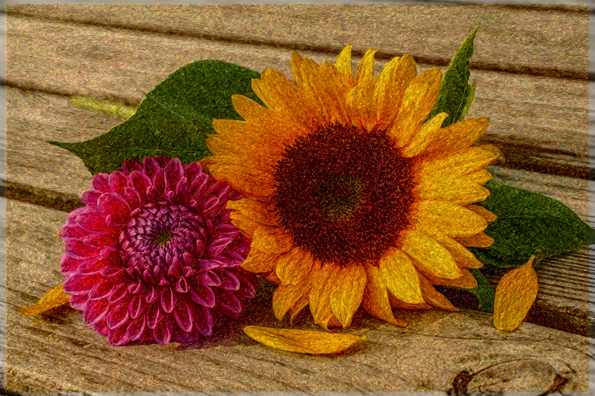 sunflower-4843834_DN_PaintWithHairLocks_Issa.JPG