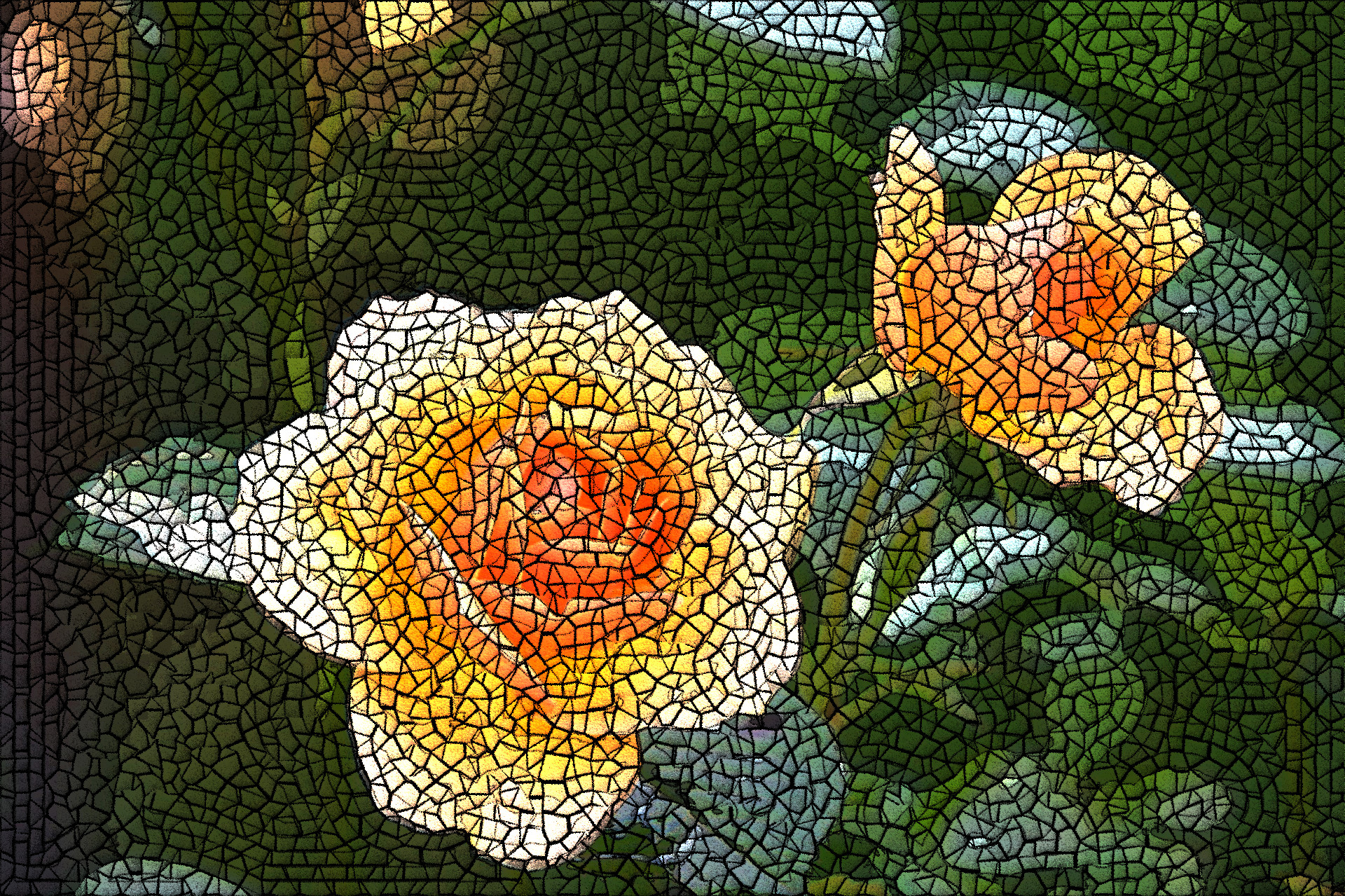 2020-02-23 16-16-26rose-flower-blossom-bloom-39517, as a Borders Guided Mosaic (colour areas=8).jpg