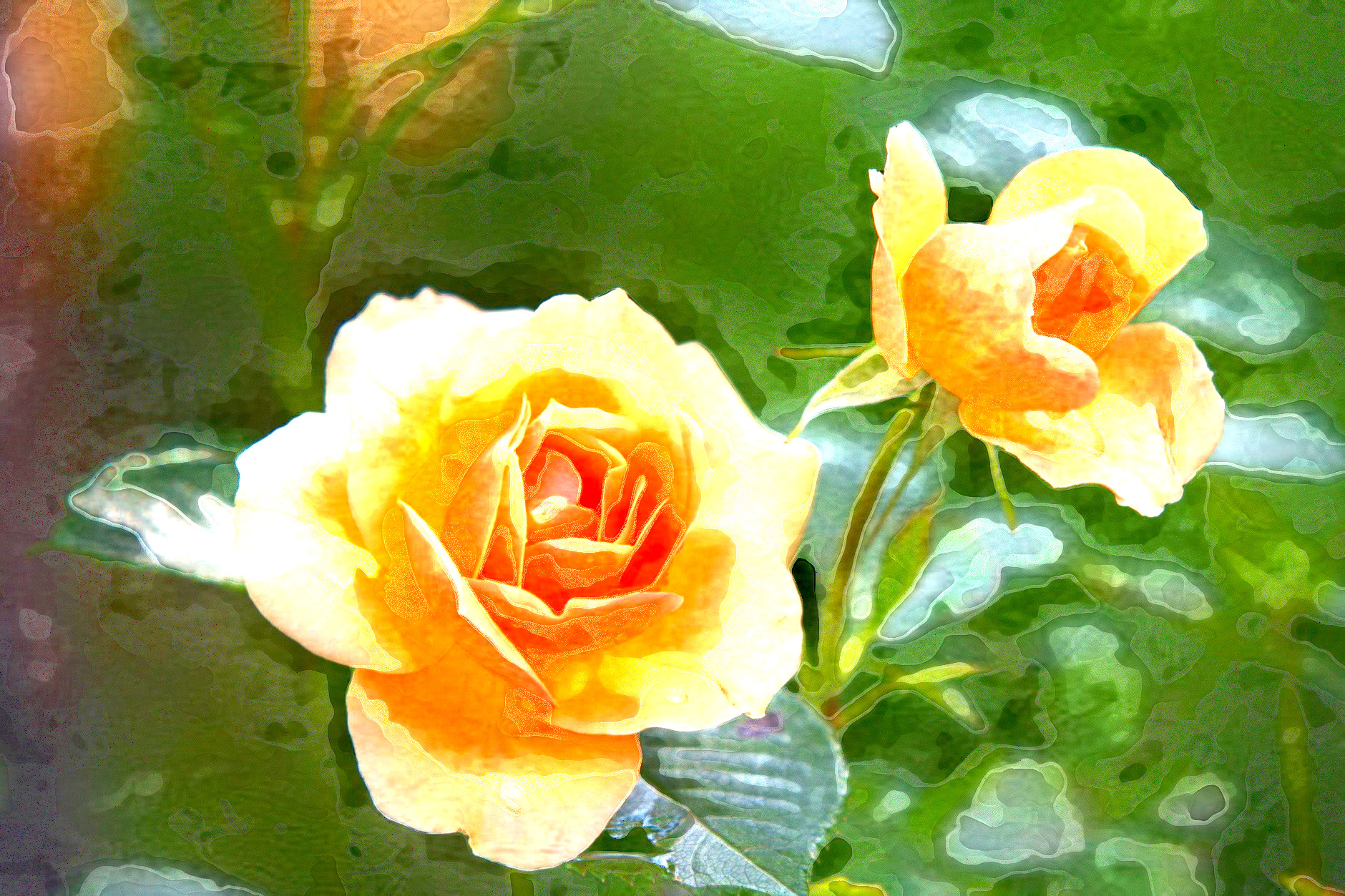 2020-02-25 15-48-36rose-flower-blossom-bloom-39517 with a watercolour effect.jpg