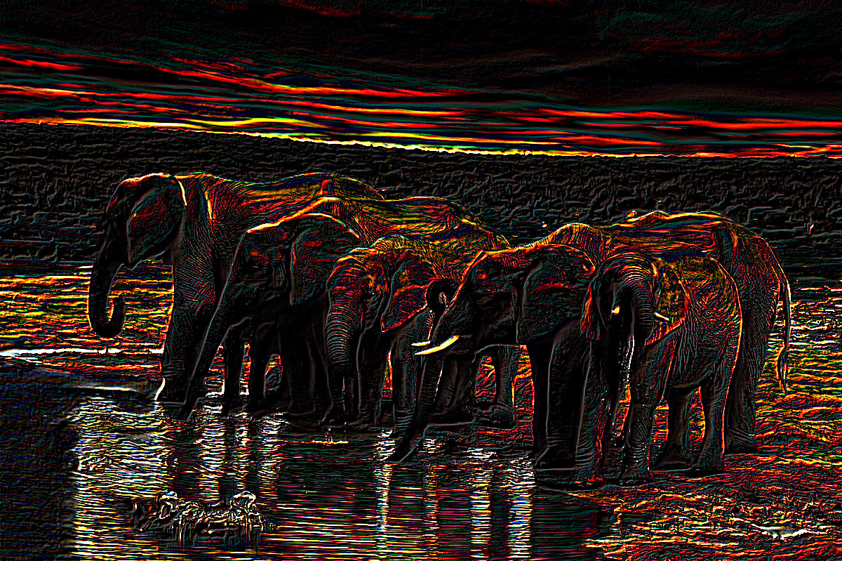 elephants-4827279_DN_ColorPencilsOnBlack.JPG