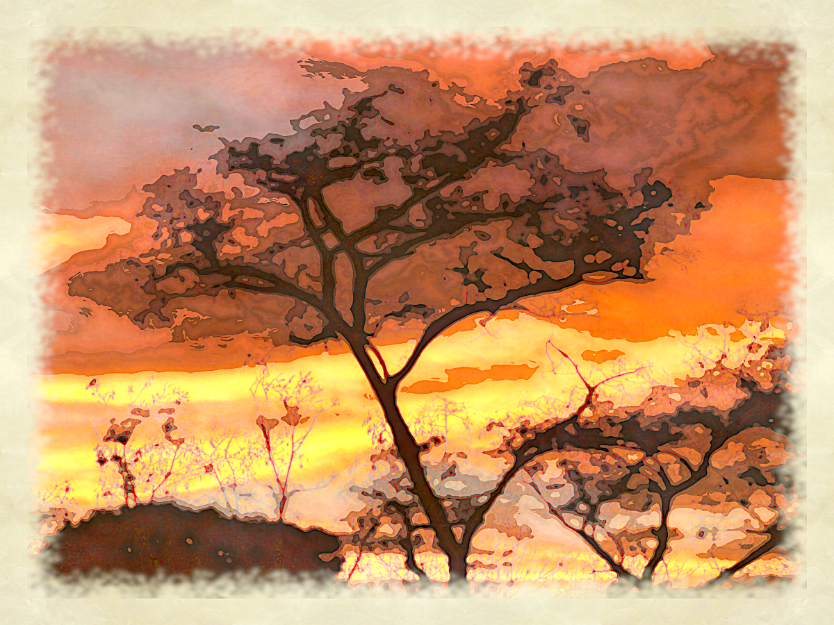 Aquarelle_Plus_Tree_Sunset.png