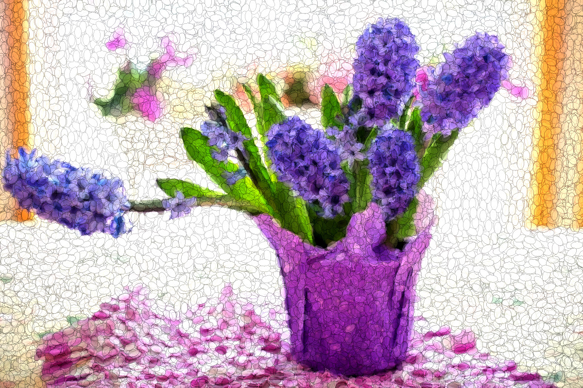 hyacinth-4110726_DN_EllipsisStructure_Issa.JPG