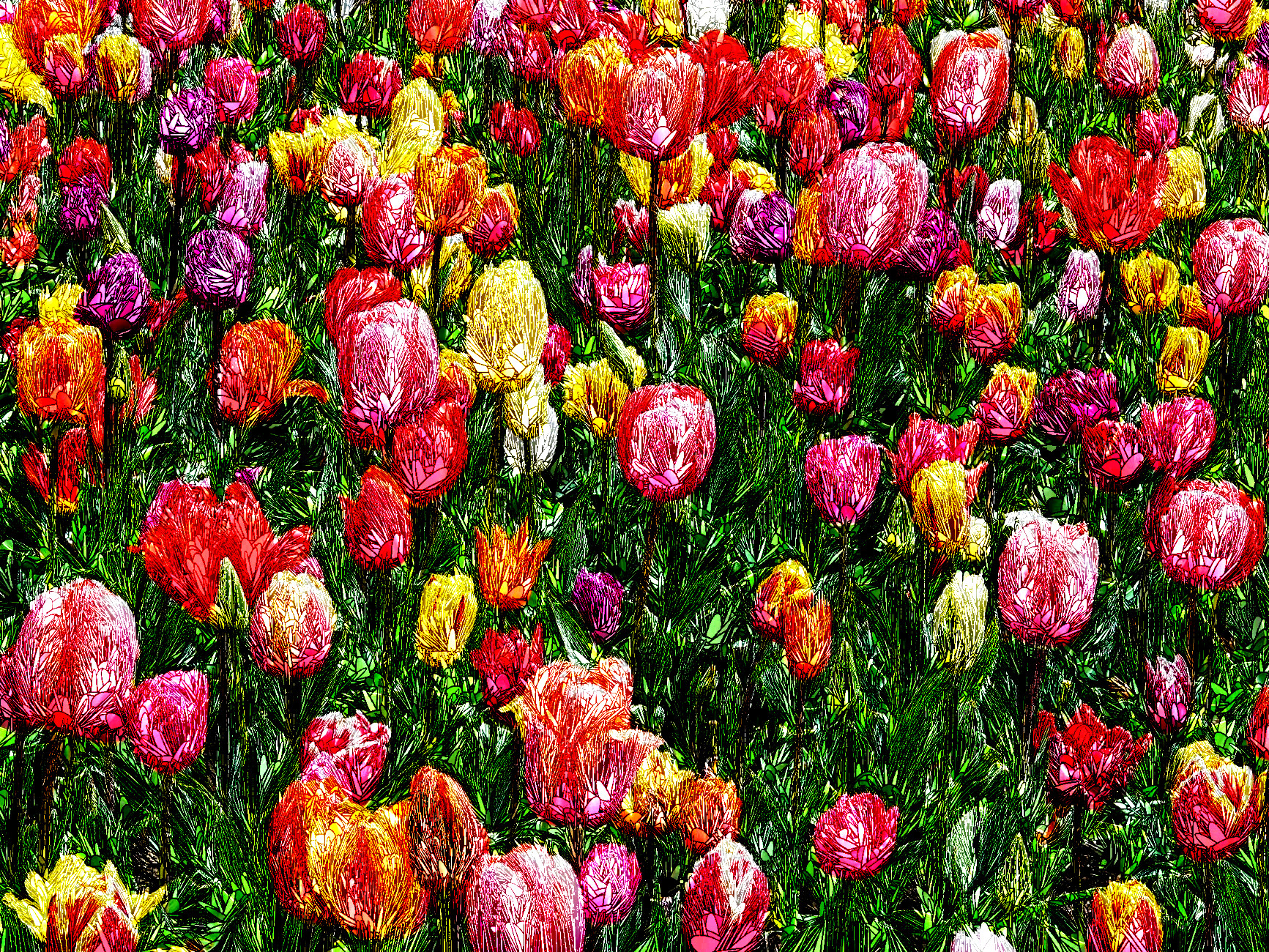 2020-03-03 07-56-19tulips-bed-colorful-color-69776 with a tensor structure effect.jpg