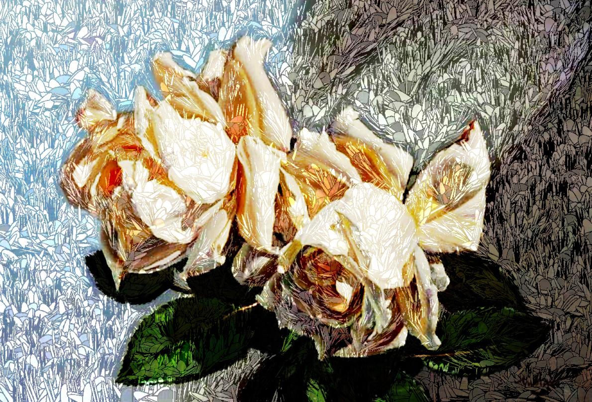 flores-rosas-blancas_DN_TensorsStructure.JPG