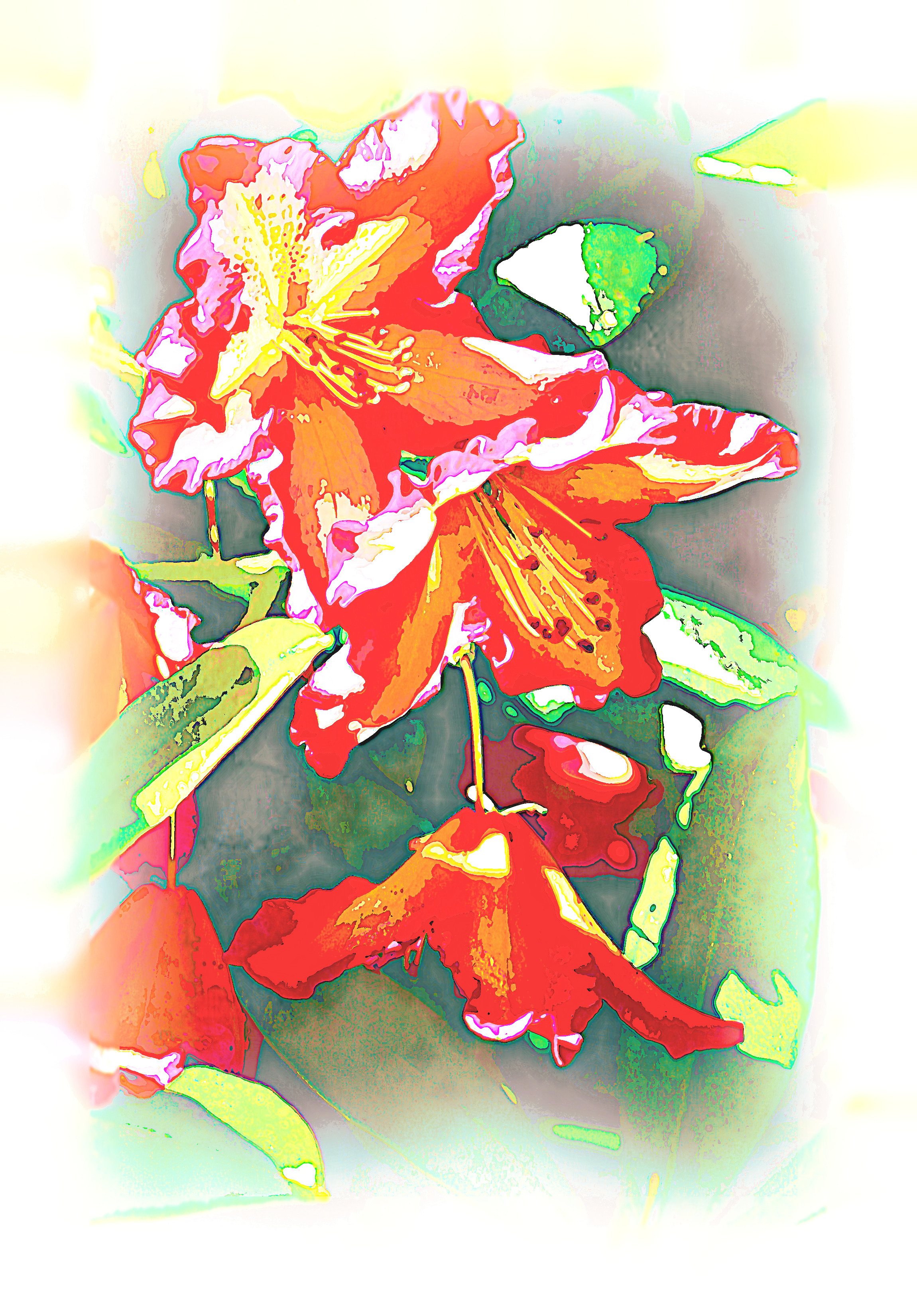 2020-04-03 08-35-05 orange-petaled-flowers-photo-1216344 as a digital aquarel, using18 colours, source flower, look white plus.jpg