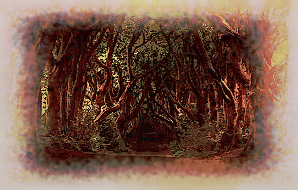 2020-04-20 06-23-10 avenue-3464777_960_720 as a digital aquarel, using18 colours, source forest, look dark plus.jpg