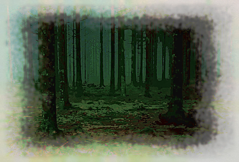 2020-04-20 06-24-20 forest-1258845_960_720 as a digital aquarel, using18 colours, source forest, look dark plus.jpg