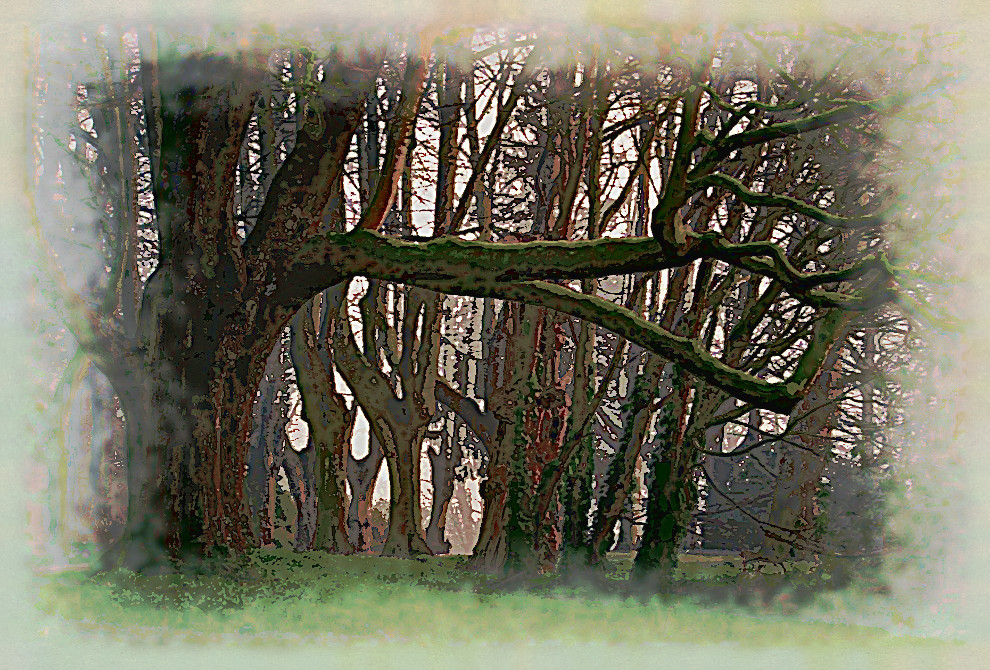2020-04-20 06-25-57 forest-3287976_960_720 as a digital aquarel, using18 colours, source forest, look dark plus.jpg