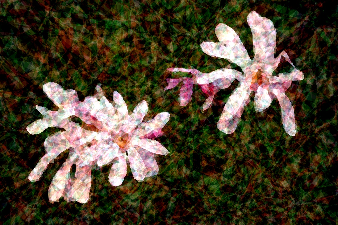 2020-04-20 10-09-03 star_magnolia_by_organicvision_ddtcwbv-pre with a fake crystallized look.png