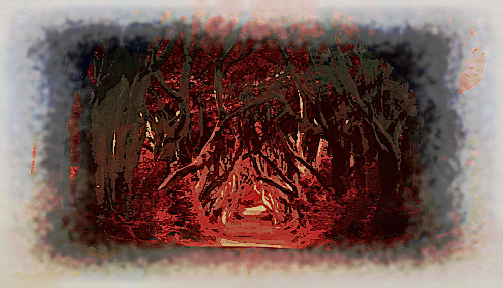 2020-04-20 08-20-40 the-dark-hedges-4094148_960_720 as a digital aquarel, using18 colours, source forest, look dark plus.jpg