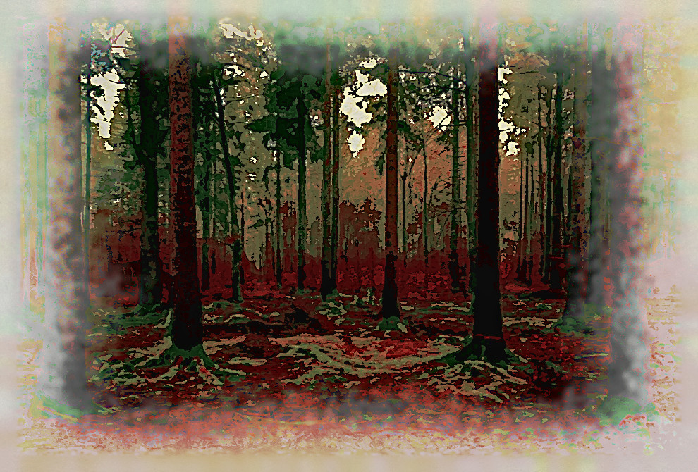 2020-04-20 08-23-48 wood-3095720_960_720 as a digital aquarel, using18 colours, source forest, look dark plus.jpg