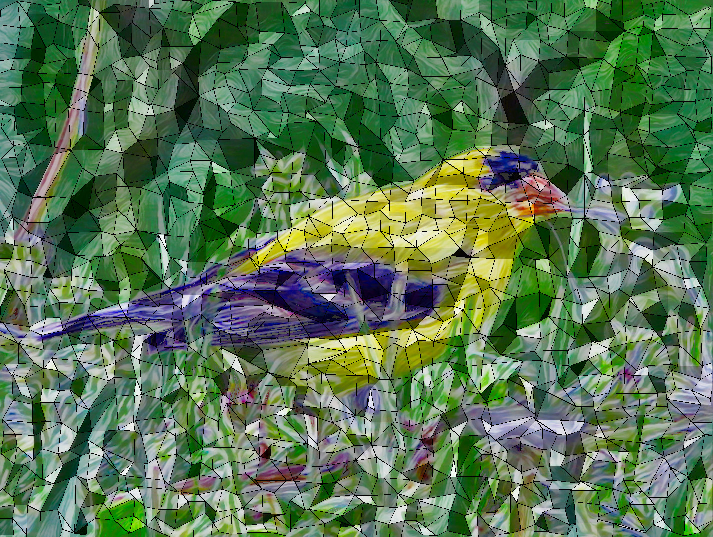 yellow-bird_Polygonize_Issa.JPG