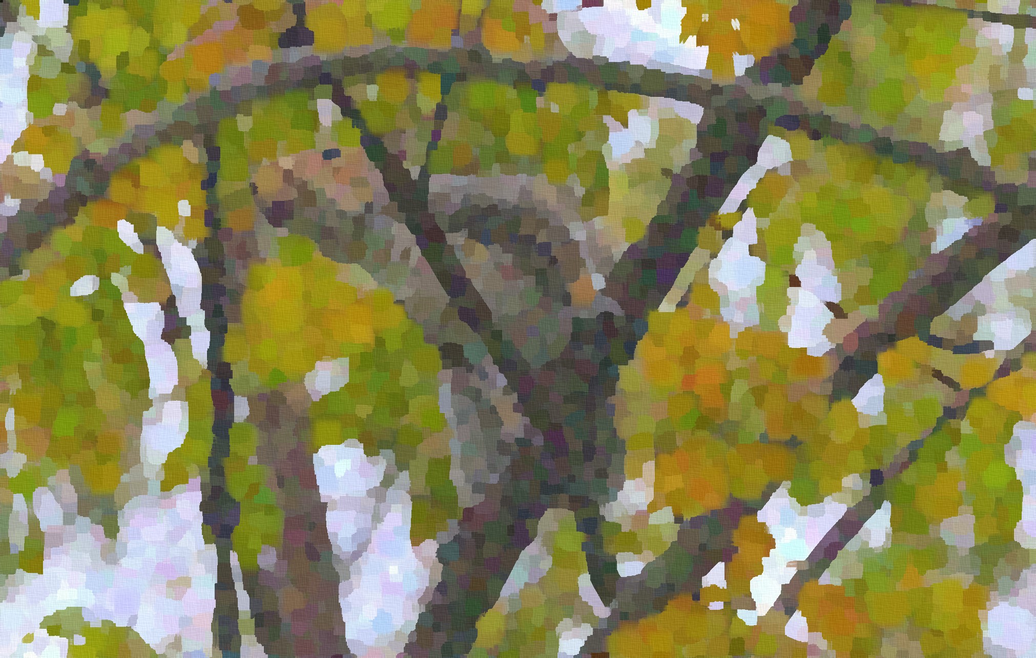 squirrely2_Impressionism_Issa.jpg
