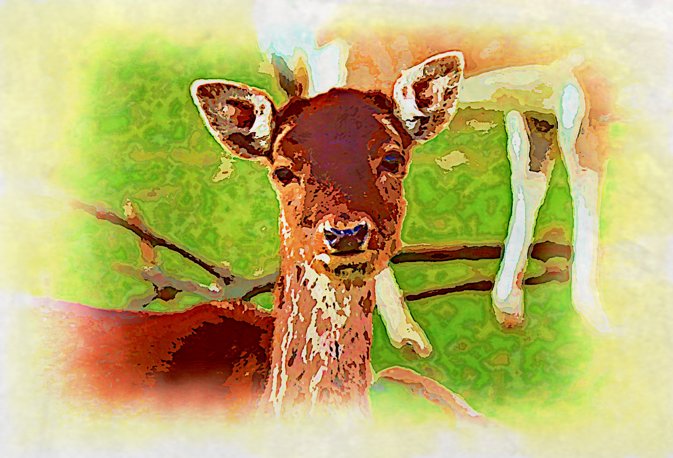 fallow-deer-4988925_DN_AquarellePlusPlus2_Animal_cb_Issa.jpg