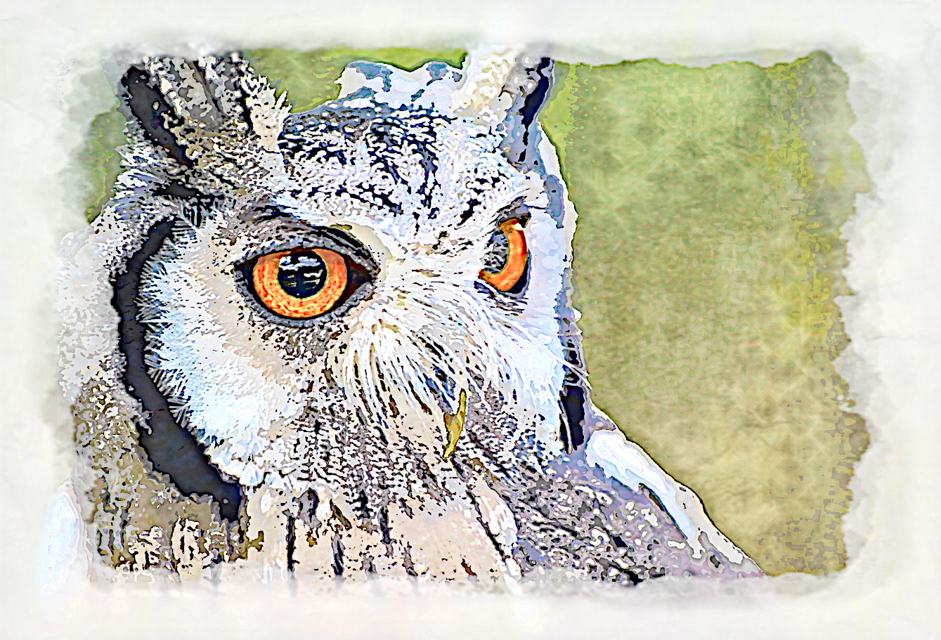 owl-1705112d_DN_AquarellePlusPlus2_Animal_Issa.jpg