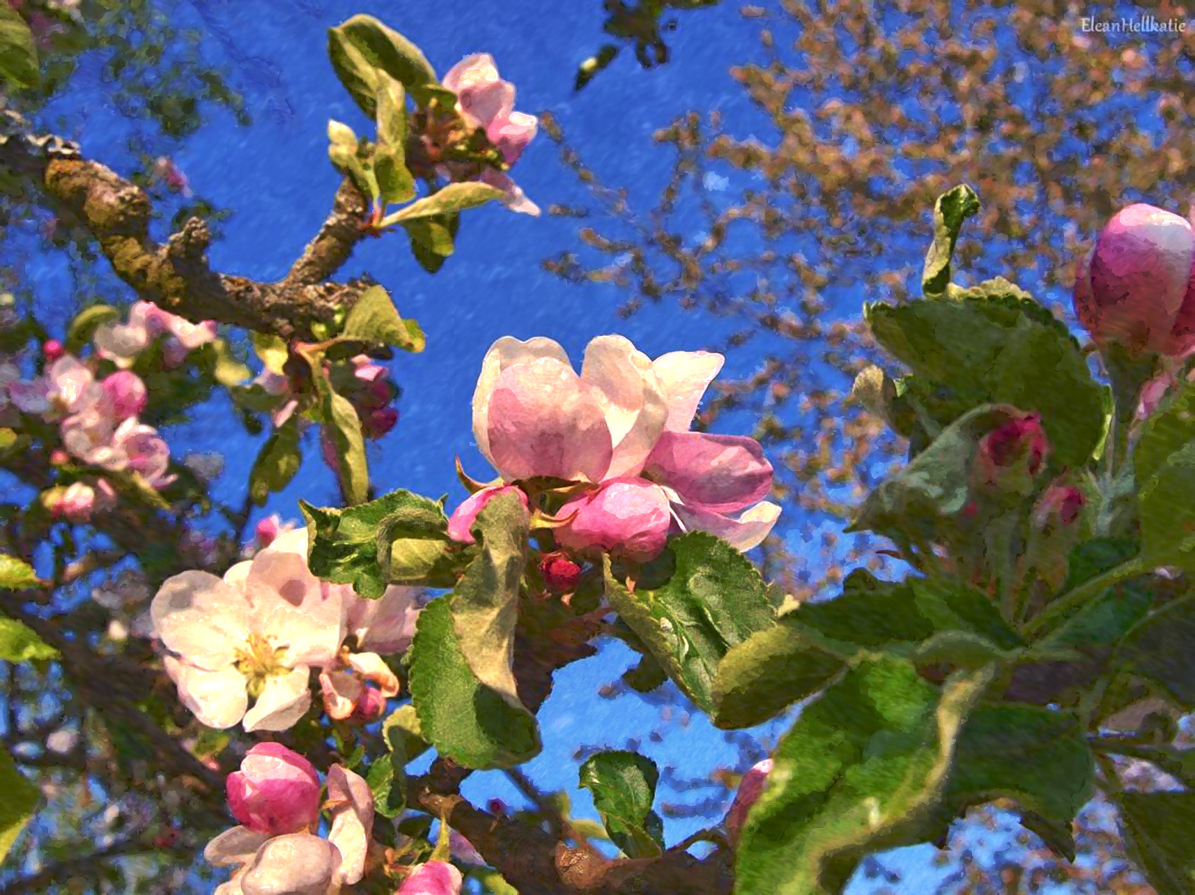 2020-06-05 11-39-26 apple_blossoms_by_eleanhellkatie_ddw8s7t-pre, using patterns set=FPSstroke47, 19 colours.jpg
