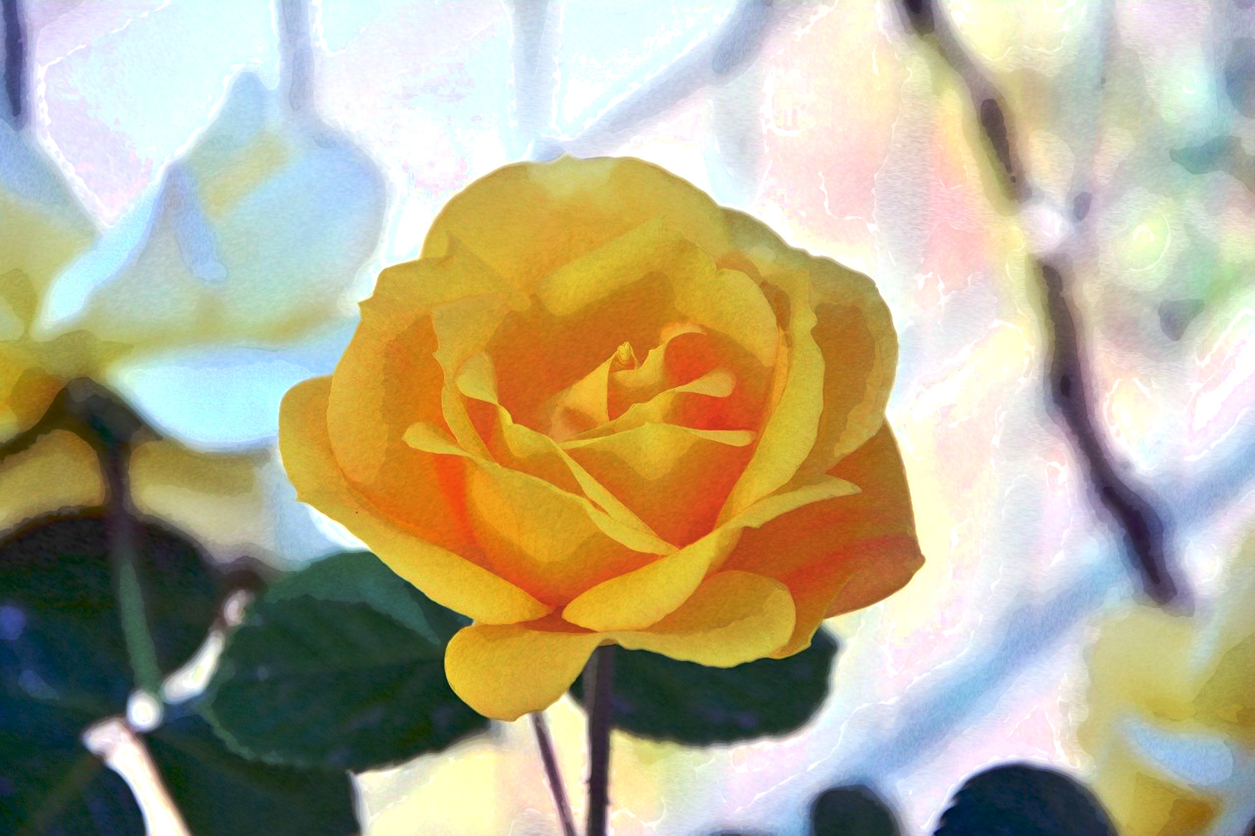 rose-5231793_DN_FPSspot_Flowers_Issa.JPG