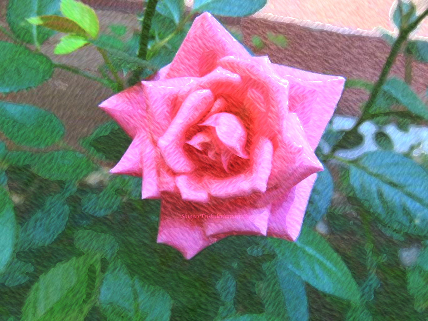 pink_rose_by_shippertrish_ddx1gds_DN_FreePainting_Stroke_65_Issa.jpg