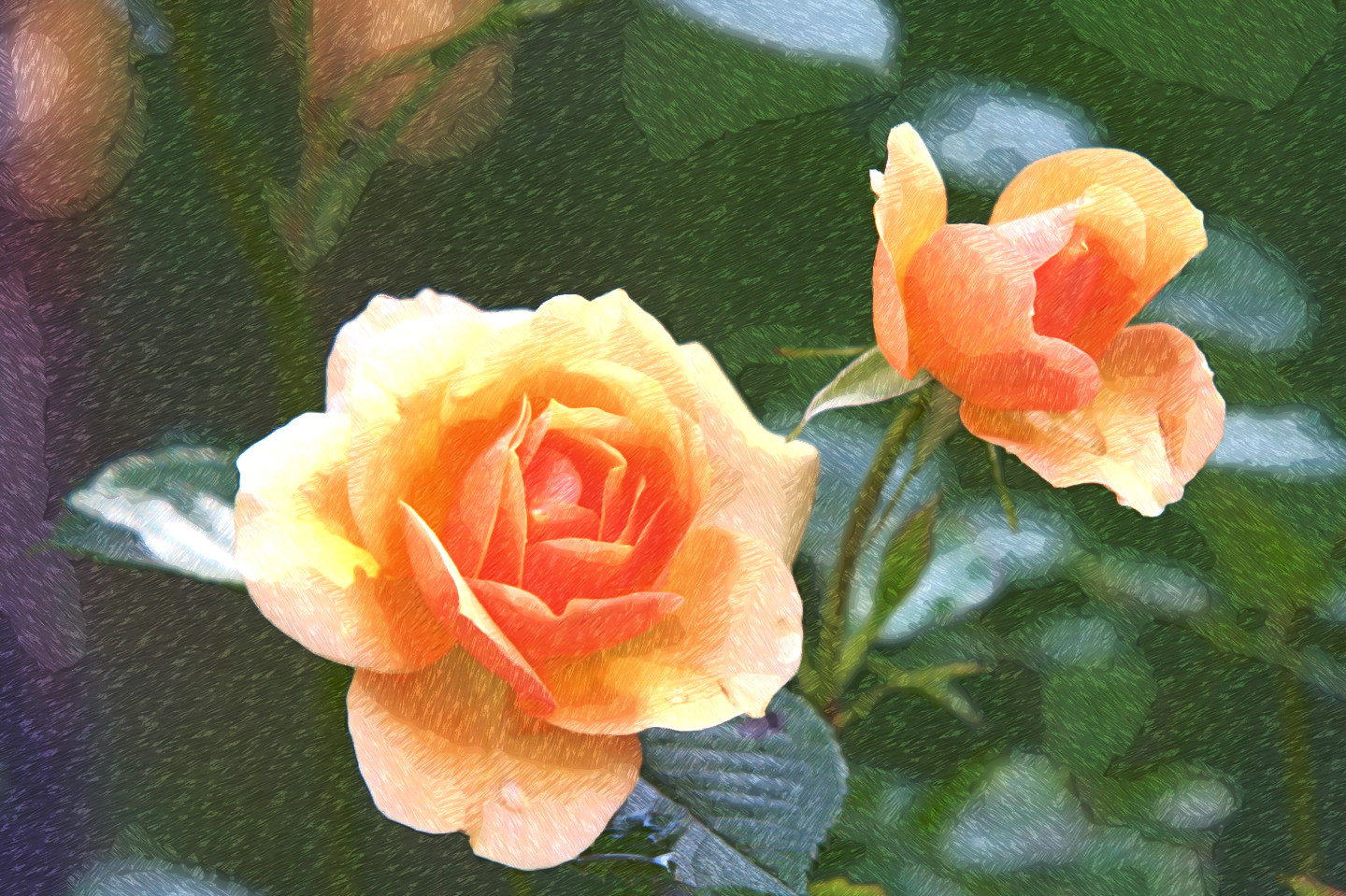 rose-flower-blossom-bloom-39517_DN_FreePainting_Stroke_50_Issa.jpg