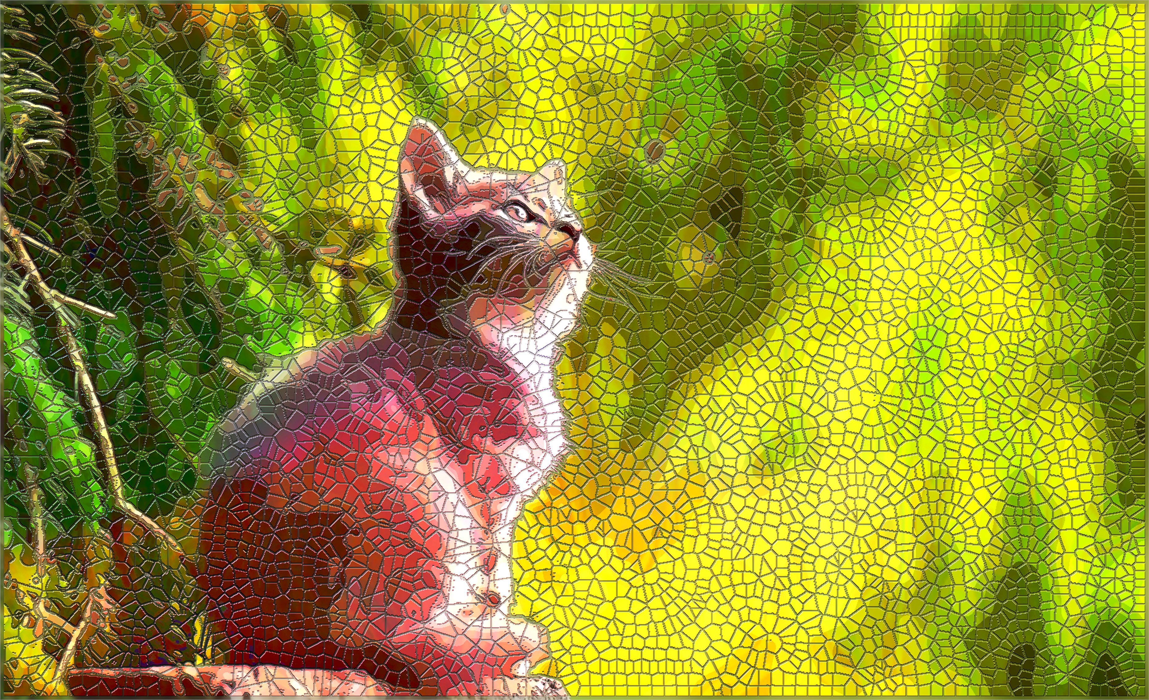 cat-2083492_DN_MOVV_as a Roman Mosaic Effect_Issa.JPG