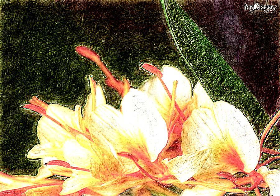 2020-08-24 06-35-09pastel_by_vasidragos_de05oej-fullview with a draw on black effect, using option colours and pencil lead=HB.jpg