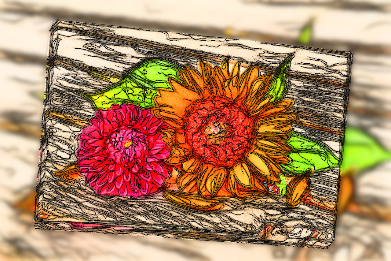 sunflower-Image_DN_Sallyanne Style_Doodle.jpg