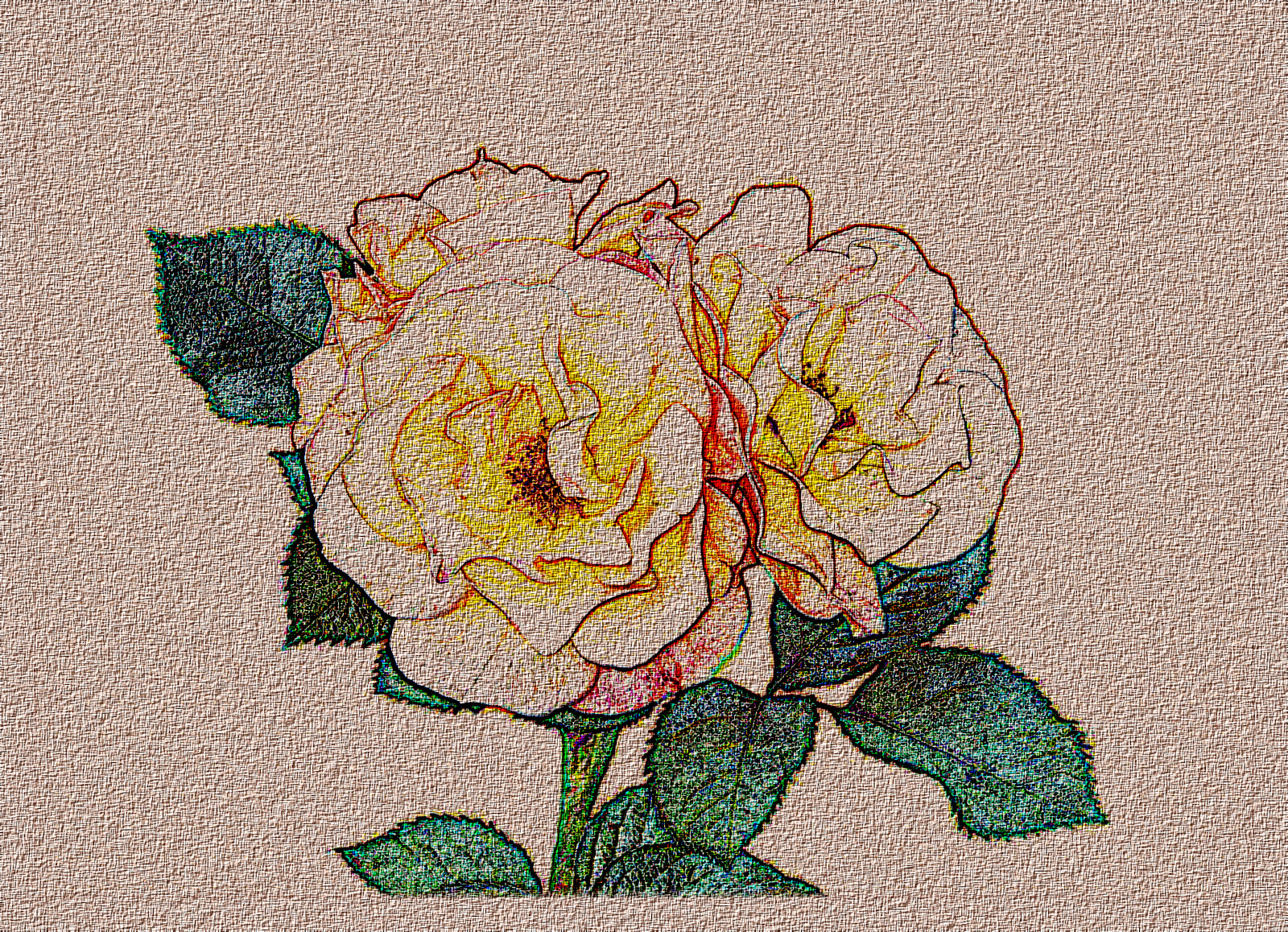 bad_kissingen_rose_garden_rose_606635_DN_DrawingStyleH_Sobel.JPG
