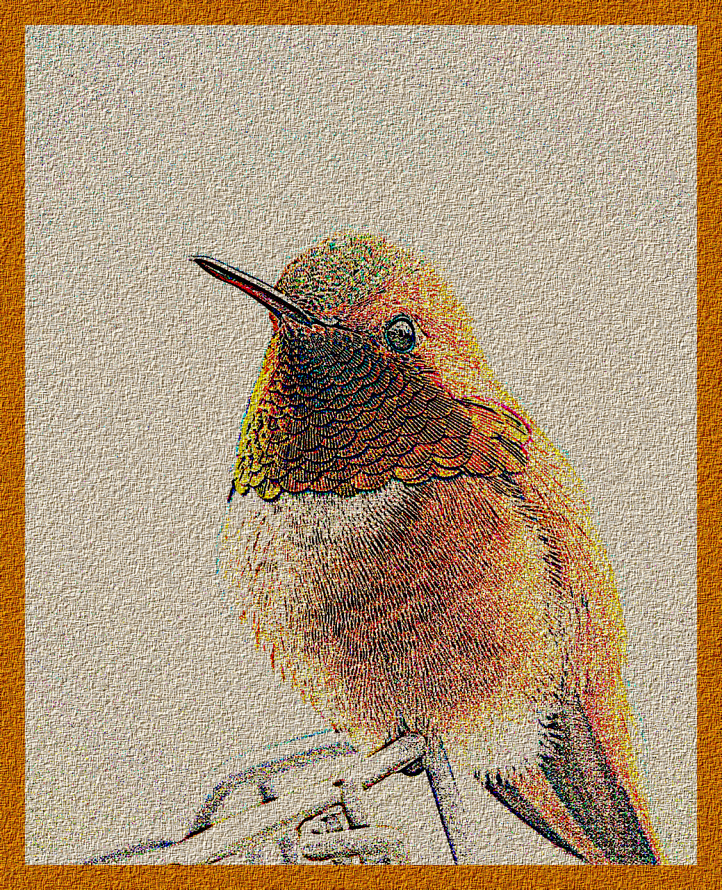 hummingbird-5111260_DN_DrawEffectH_Laplace.jpg