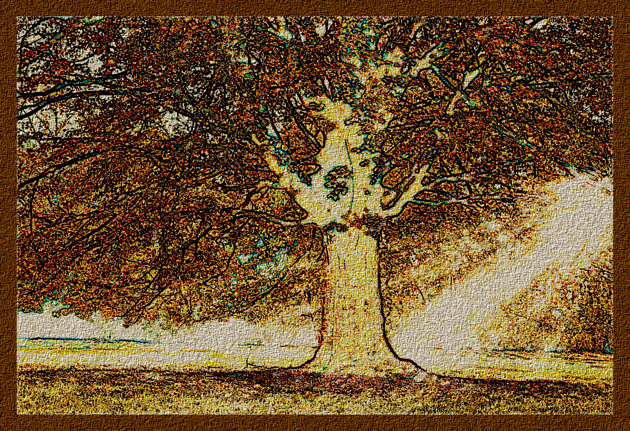 tree-4637270_DN_DrawEffectH_Roberts.jpg