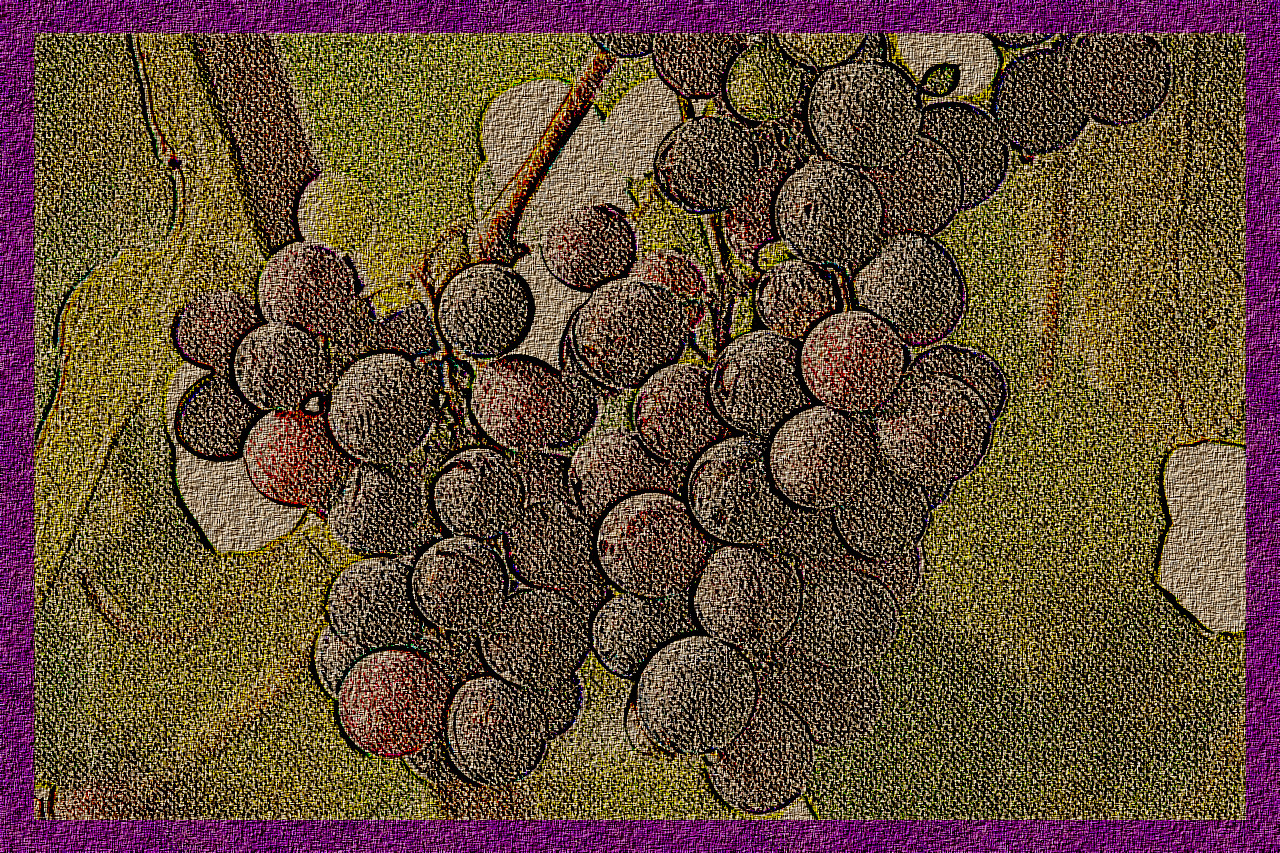 grapes-5603367_DN_DrawEffect_H_Emboss.jpg