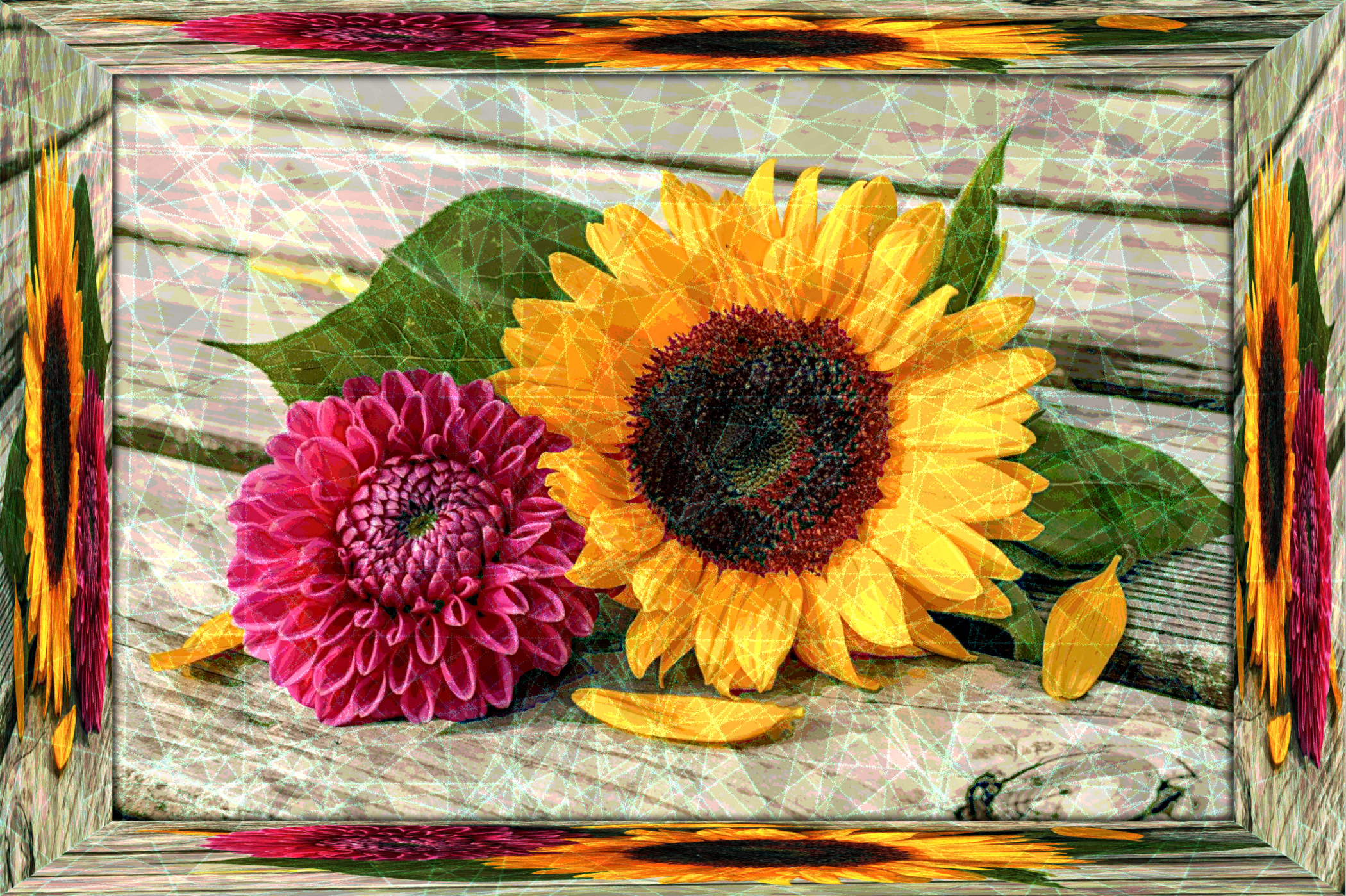 sunflower-4843834_DN_DrawEffect_I.jpg
