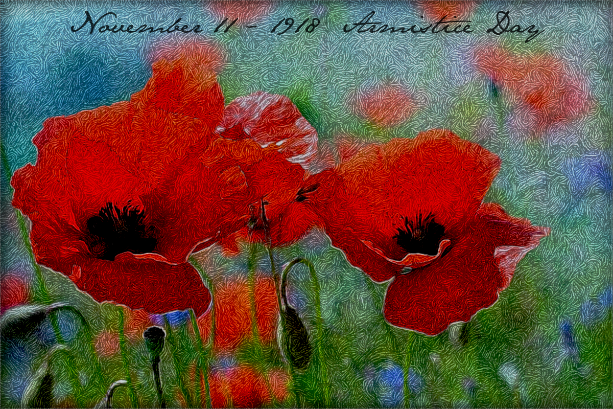 DrawingStyle_J_DN.Poppies.png