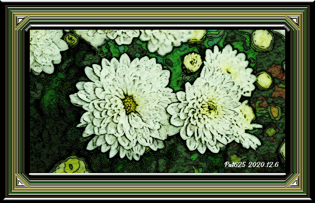 DN.Drawing_L.Chrysanthemums.jpg