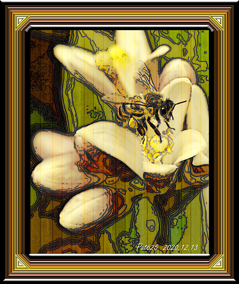 Bee.DN.DrawStyle_L.jpg
