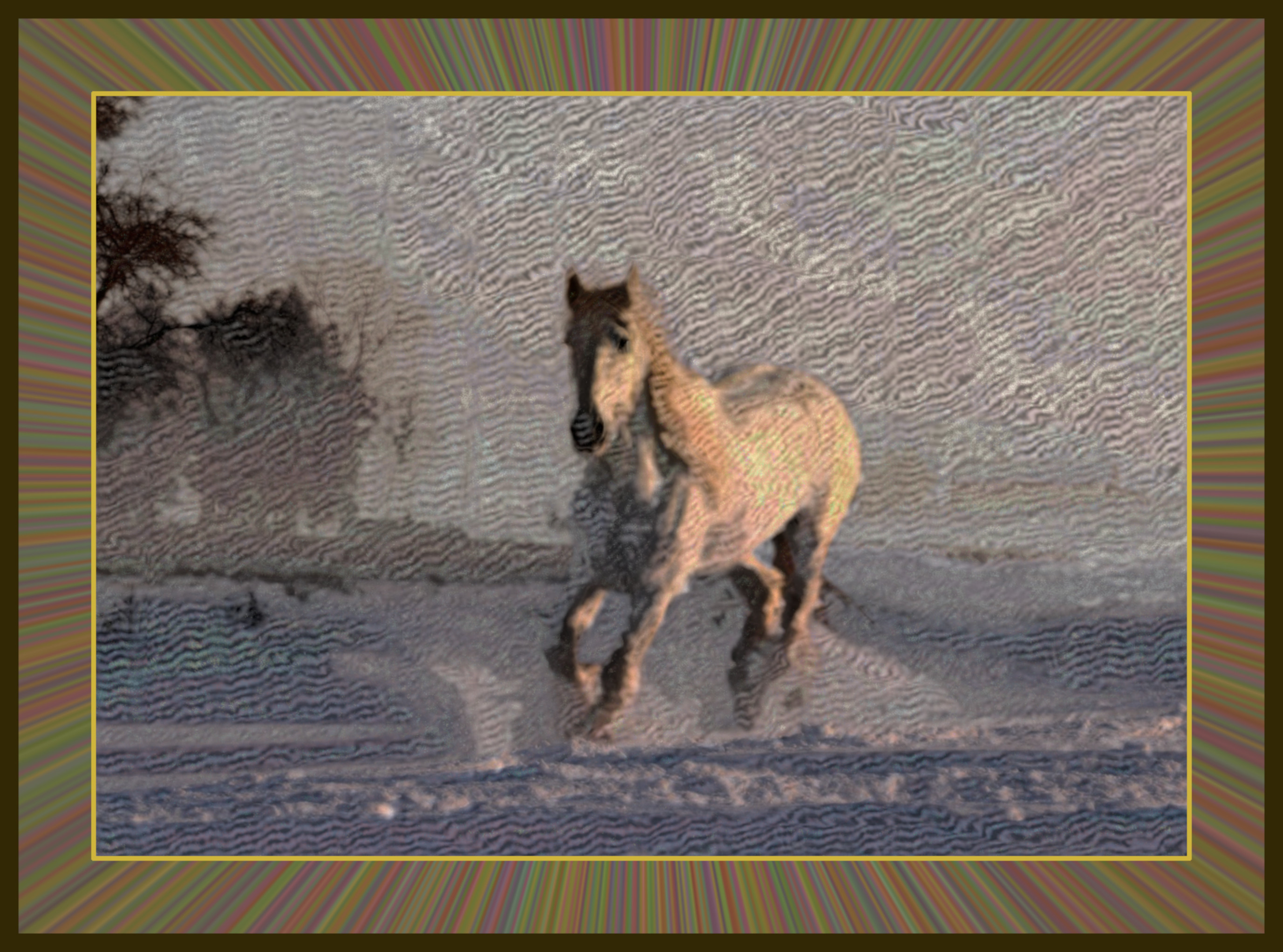 2020-12-15 12-59-46 white-horse-3010129_960_720, stroked  using 11 colours giving 25.0% influence to the edges (framed 10%).jpeg