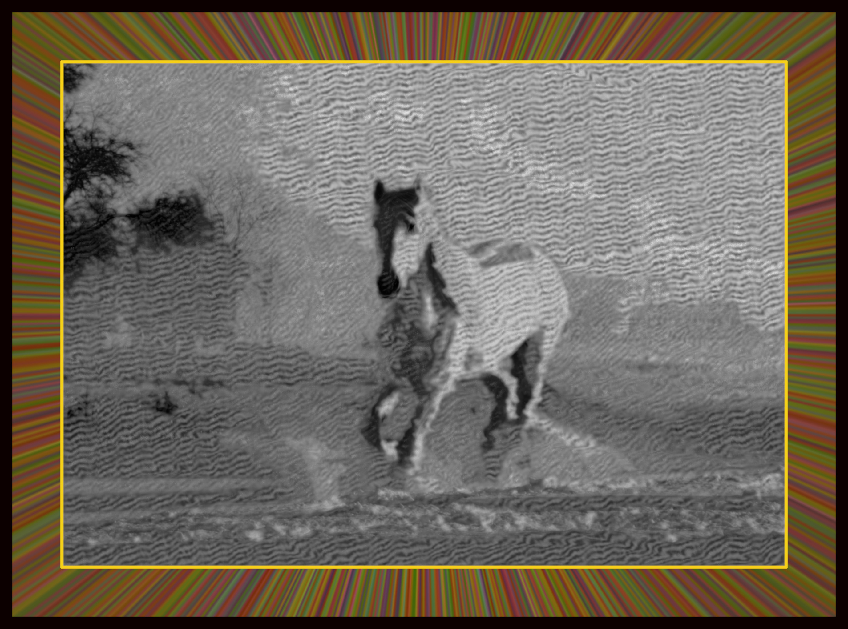 2020-12-15 13-01-55 white-horse-3010129_960_720, stroked  using 9 colours giving 25.0% influence to the edges, B&W (framed 10%).jpeg