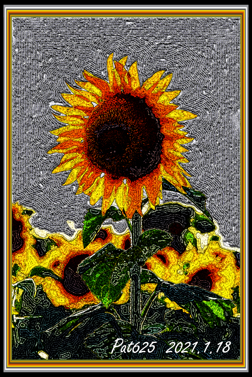 Sunflower.DNDrawStyle M.jpg