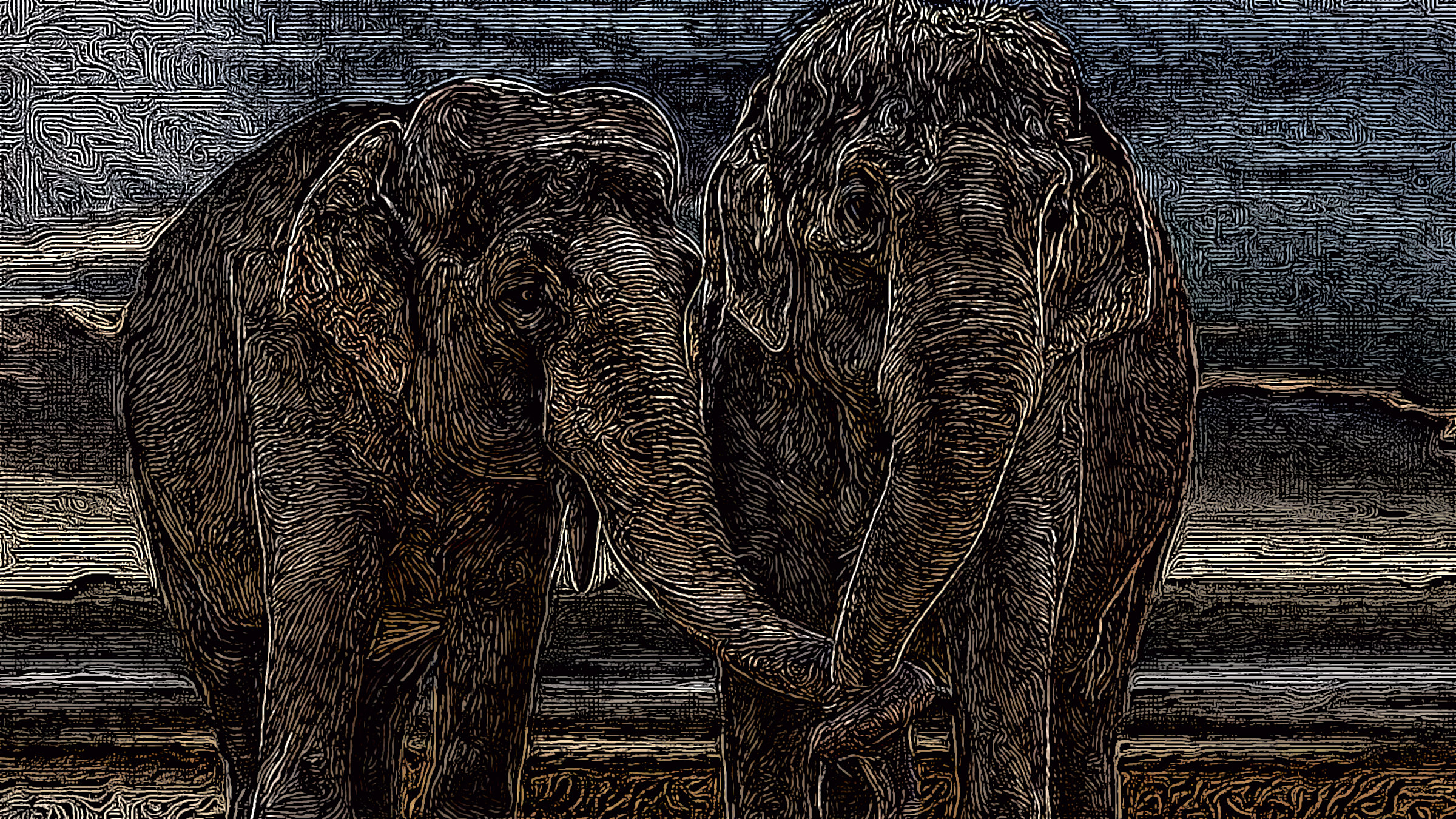 Stringy Elephants.jpg