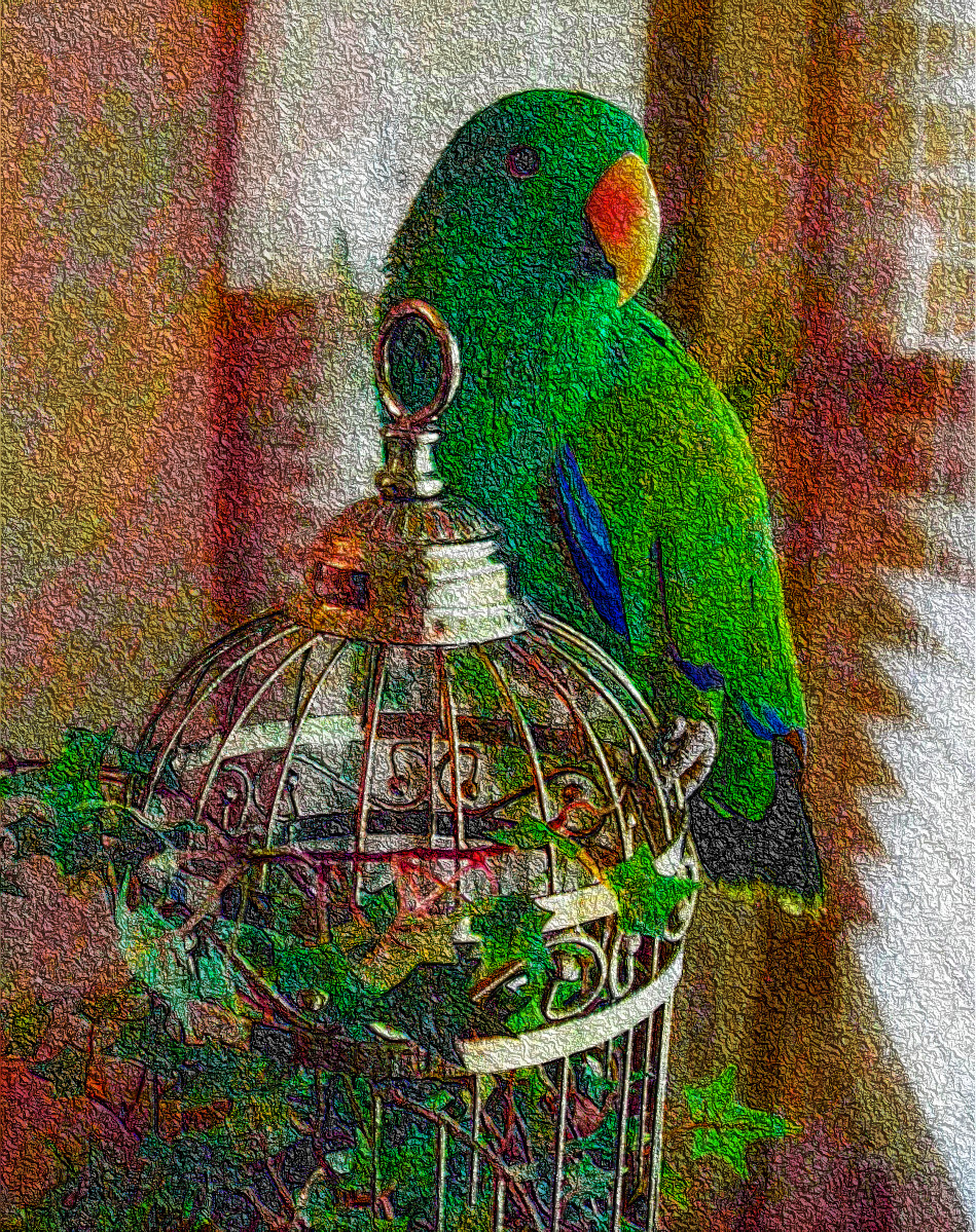 eclectus-parrot-1382668_DN_DrawEffect_R2.jpg