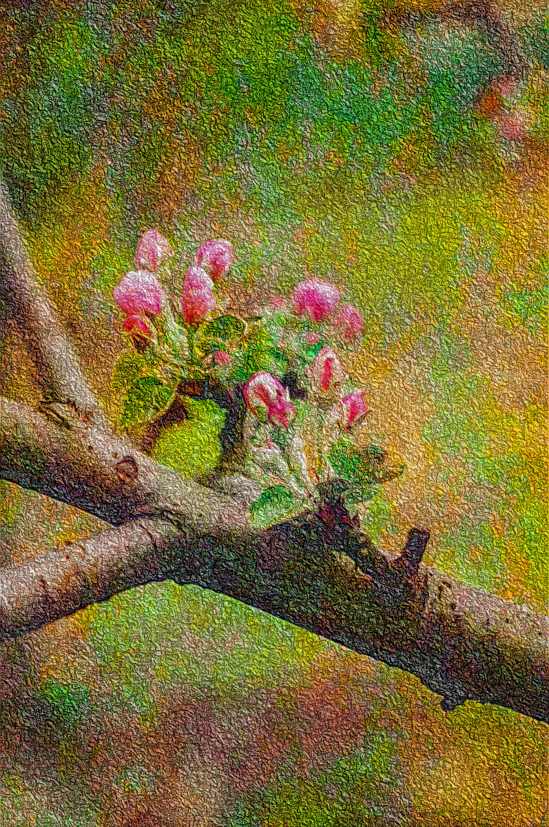 blooming-apple-tree-in-the-garden-1641500_DN_DrawEffect_R2.jpg
