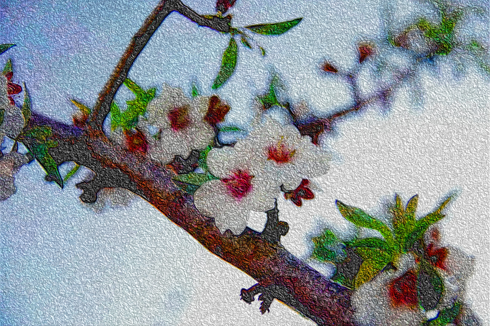 branch-of-flowering-almond-tree-1376833_DN_DrawEffect_R2.jpg