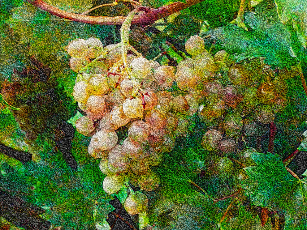 grape-in-a-raining-day-1328310_DN_DrawEffect_R2.jpg