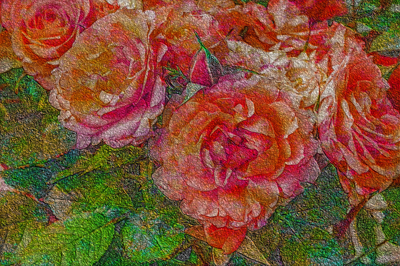 roses-3611502_DN_DrawEffect_R2.jpg