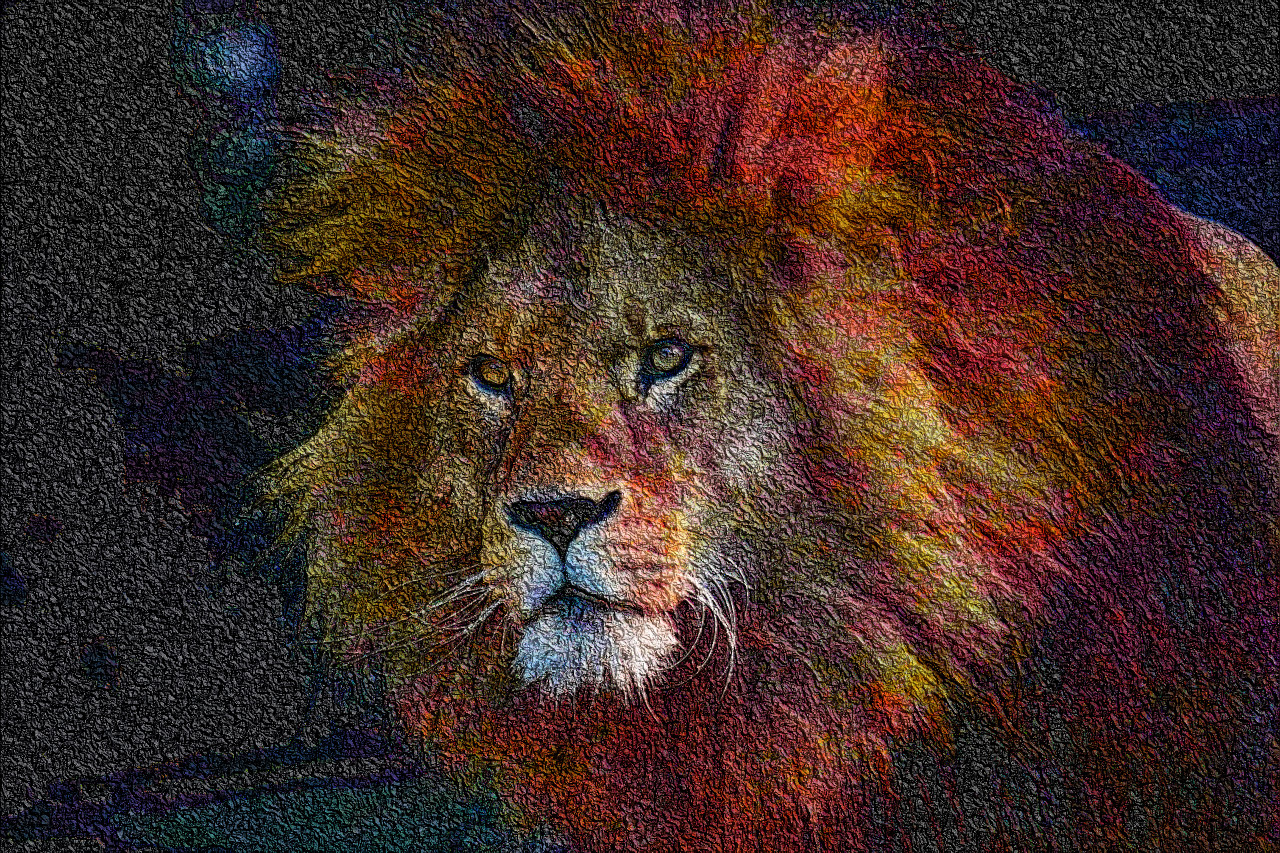 lion-3040797_DN_DrawEffect_R2.jpg
