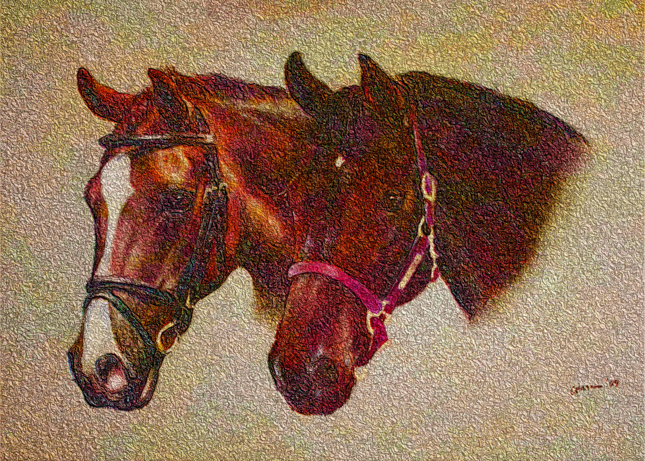 two_horses_by_corienb_d2eqcve-DN_DrawEffect_R2.jpg