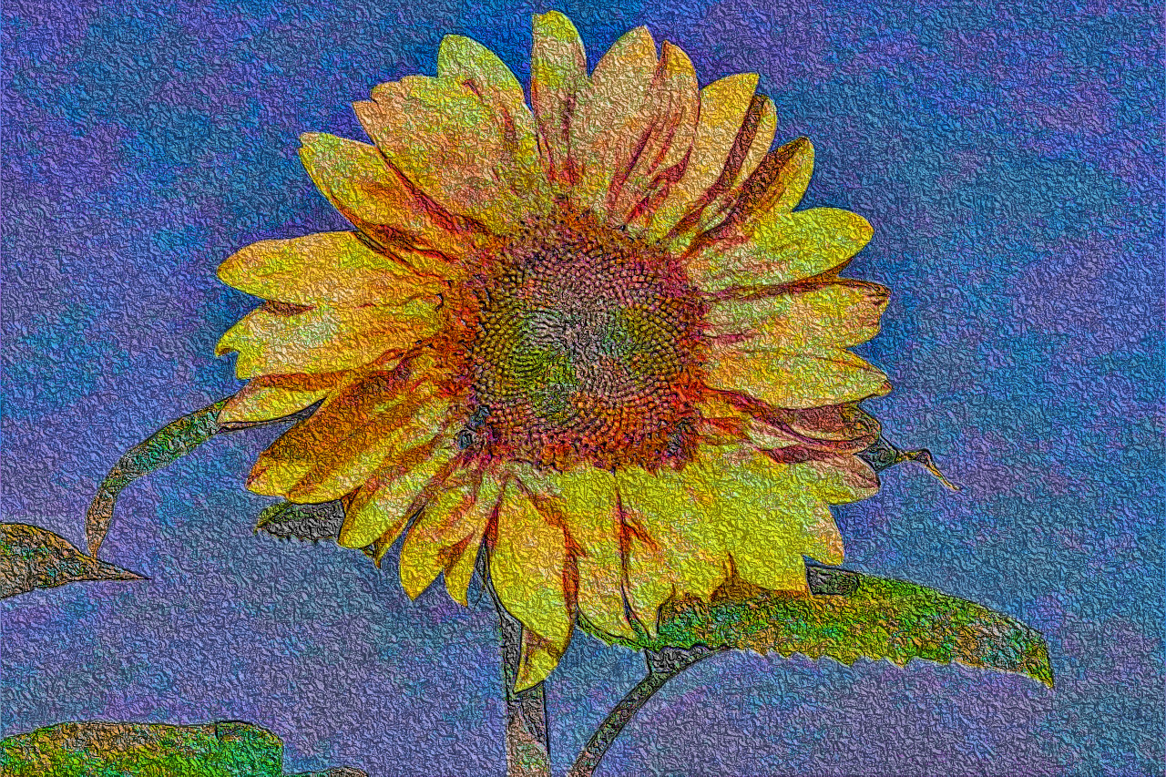 sunflower-3585282_DN_DrawEffect_R2.jpg
