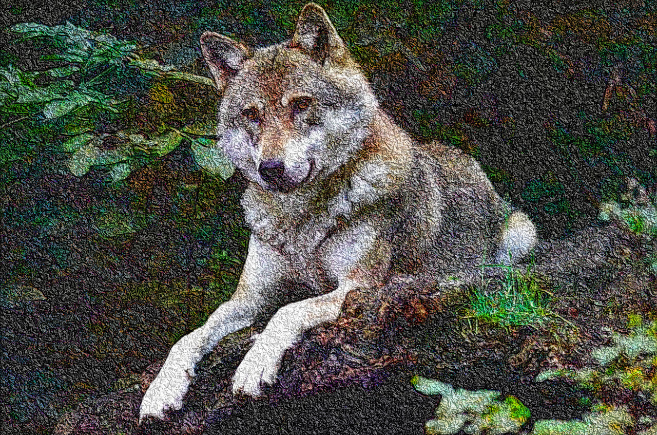 wolf-1336229_DN_DrawEffect_R2.jpg